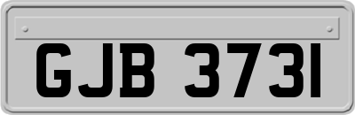 GJB3731