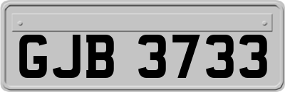 GJB3733