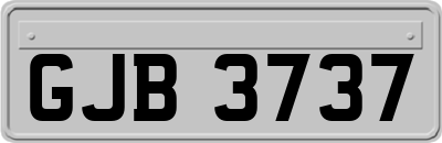 GJB3737