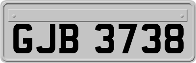 GJB3738