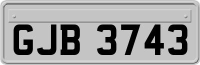 GJB3743