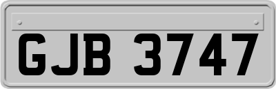 GJB3747