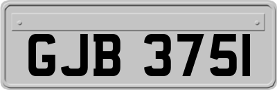 GJB3751