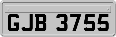 GJB3755