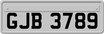 GJB3789