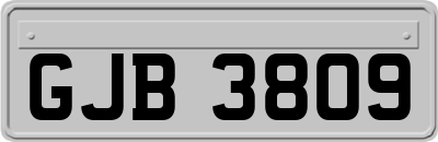 GJB3809