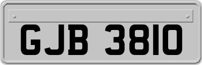 GJB3810