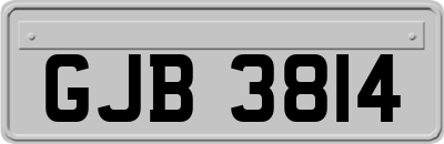 GJB3814