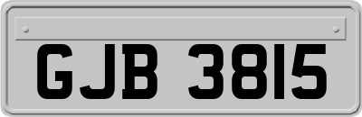 GJB3815
