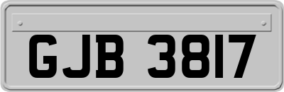 GJB3817