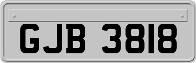 GJB3818