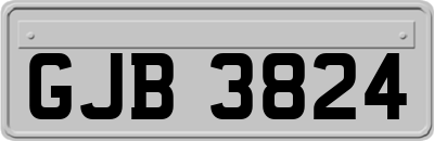 GJB3824