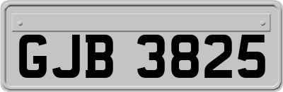 GJB3825