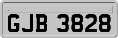 GJB3828