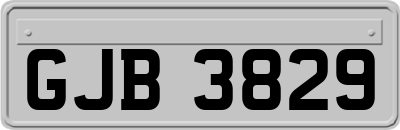 GJB3829