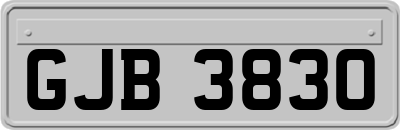 GJB3830
