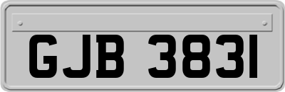 GJB3831