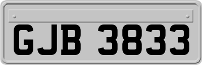 GJB3833