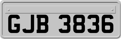 GJB3836