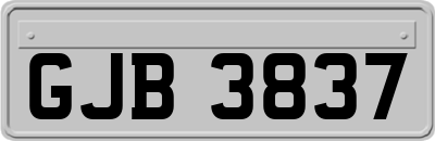 GJB3837