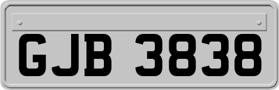 GJB3838