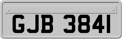 GJB3841