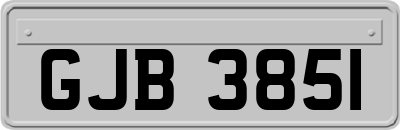 GJB3851