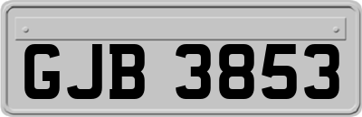 GJB3853