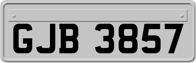 GJB3857