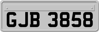GJB3858