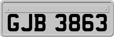 GJB3863