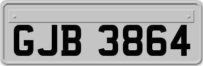 GJB3864