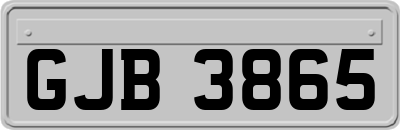 GJB3865