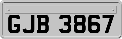GJB3867