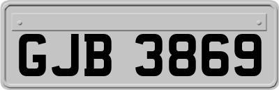 GJB3869