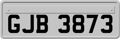GJB3873