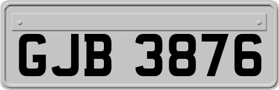 GJB3876