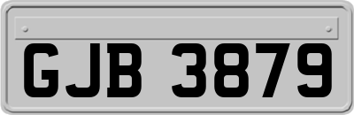 GJB3879
