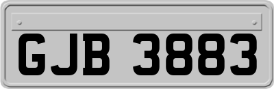GJB3883