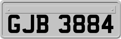 GJB3884