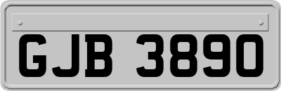 GJB3890