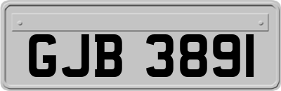 GJB3891