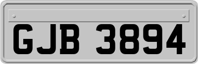 GJB3894