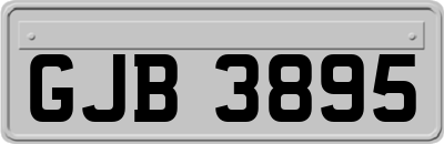 GJB3895