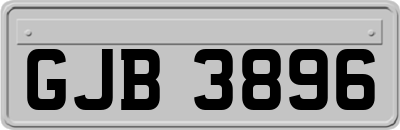 GJB3896