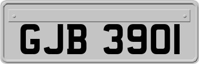 GJB3901