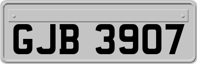 GJB3907