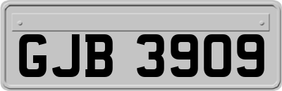 GJB3909