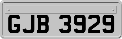 GJB3929