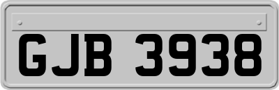 GJB3938